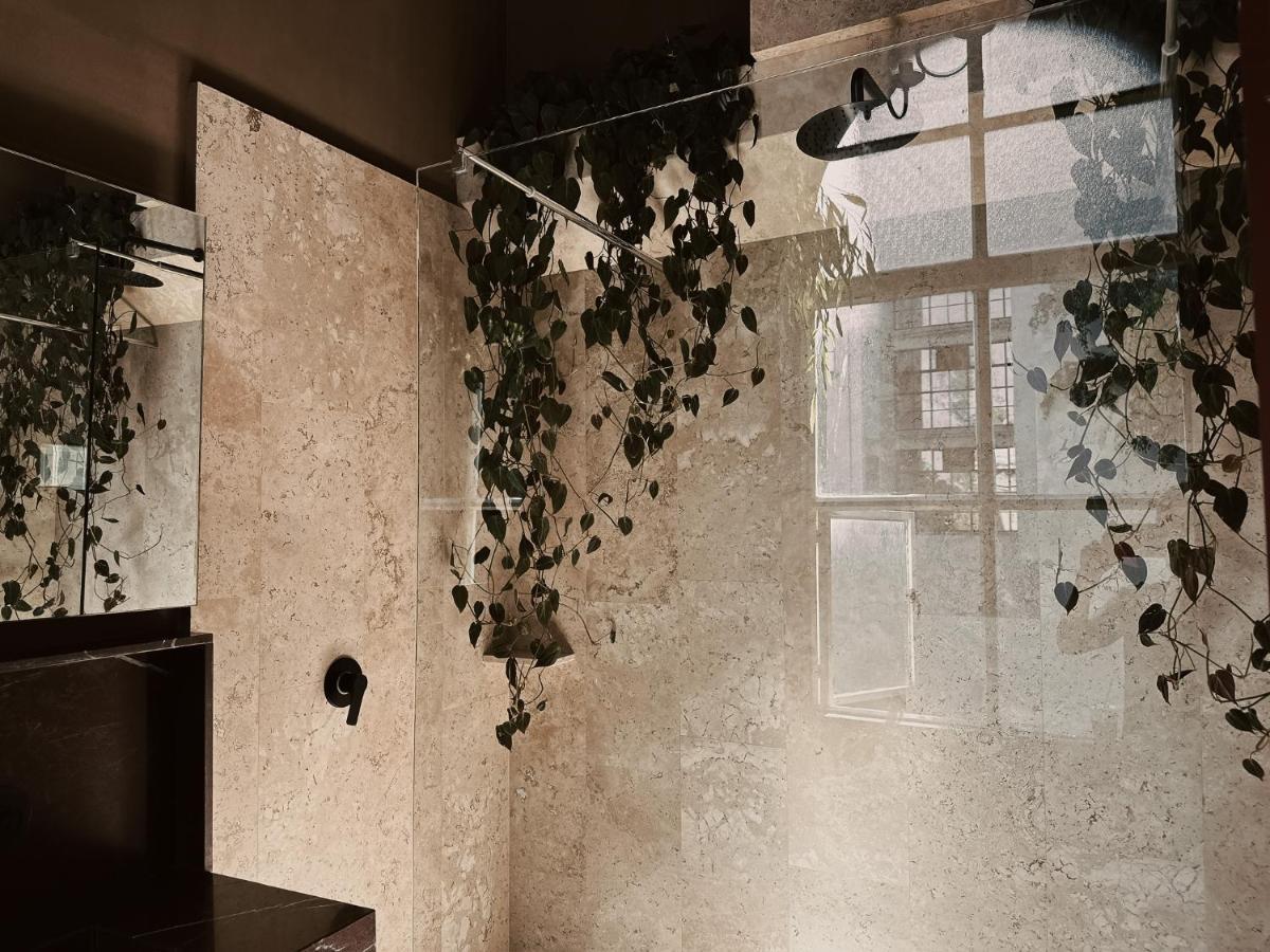 Maison Celeste Meksika Dış mekan fotoğraf